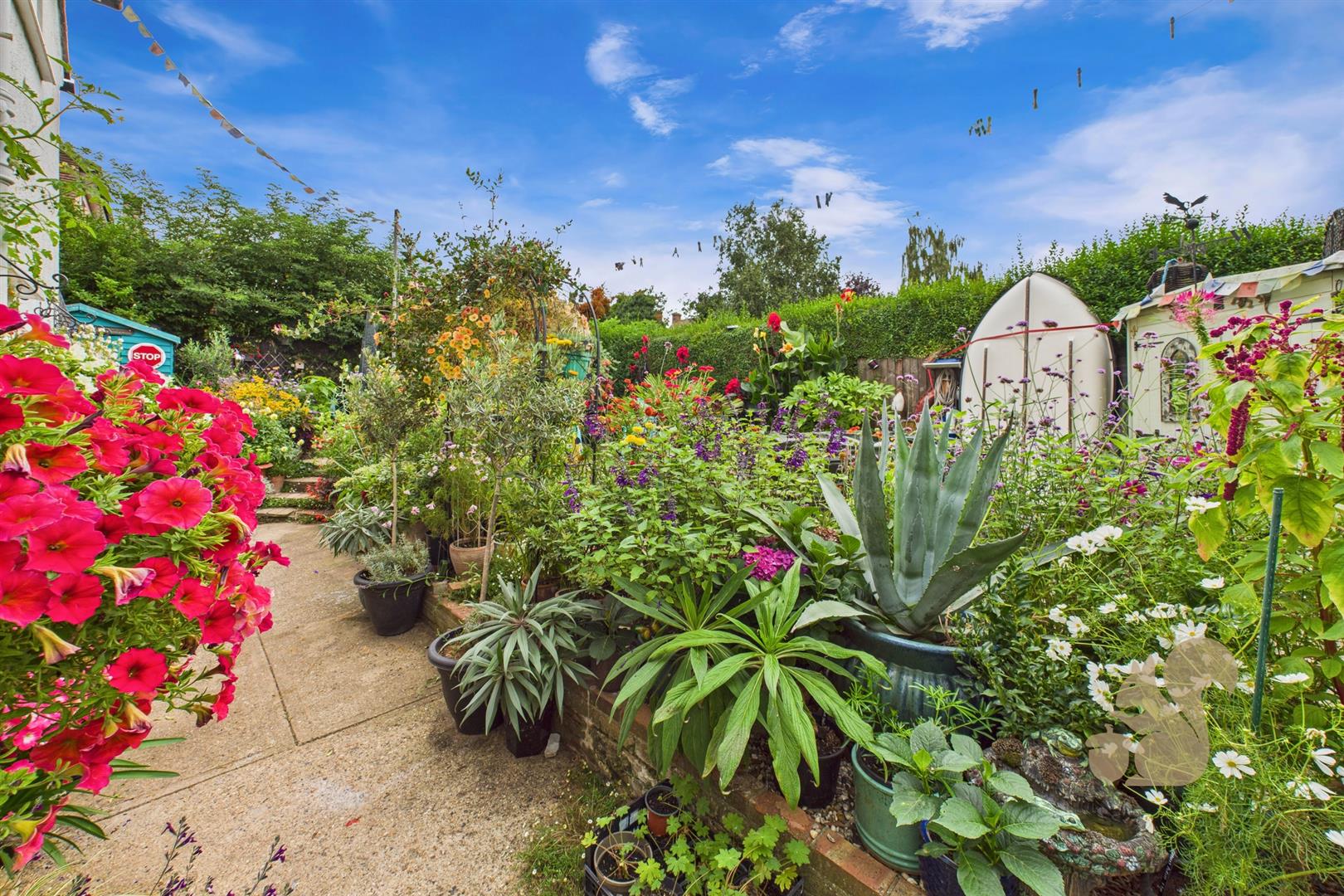 Garden
